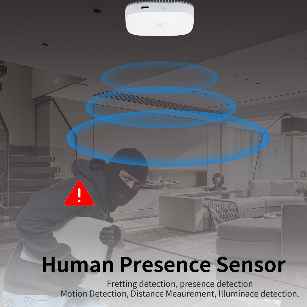 24g mmwave radar sensor de pre - Tasmota avaliação e preço